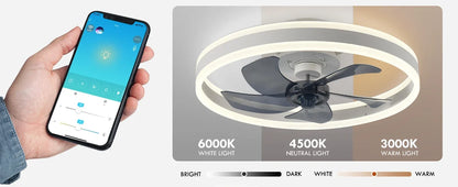 Modern LED Ceiling Fan With Light DC Motor 6-speed Timing Fan 50CM Low Floor Loft Remote Control Decorative Fan With Light