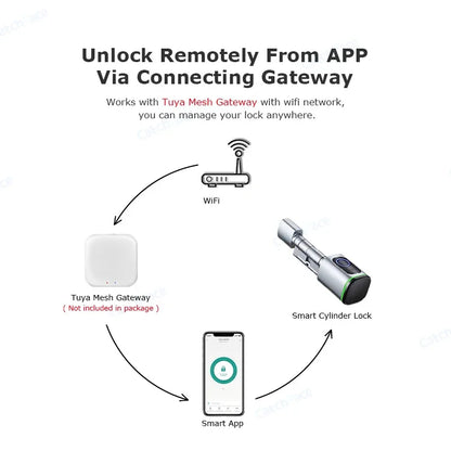 Euro Tuya TTLock APP Fingerprint RFID Card DIY Cylinder Lock Biometric Electronic Smart Door Lock Digital Keyless Replace