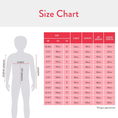 Hoodie for Boys | Pikachu Kids Hoody with Pokeball Design