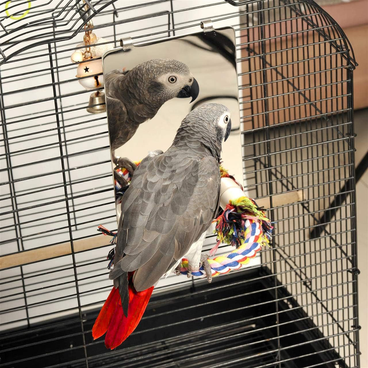 9 Inch Stainless Steel Bird Mirror with Rope Perch, Bird Toys Swing, Comfy Perch for African Grey Parakeet Cockatiel Conure Lovebird Finch Canaries